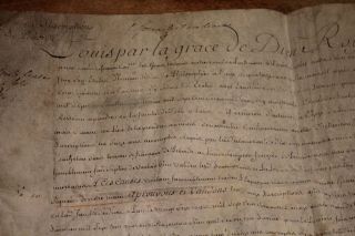 1763 parchment Manuscript royal king Louis XV signature university chai 3