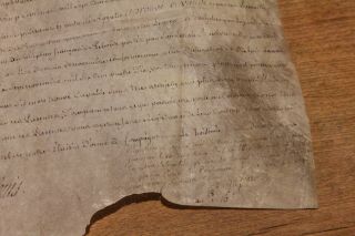 1763 parchment Manuscript royal king Louis XV signature university chai 5