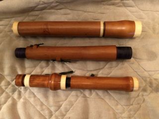 Potter Baroque Wooden Traverso Irish Boxwood Flute 4 Keys with Case 3