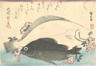 Japanese Woodblock Print :hiroshige I: Large Fish Series