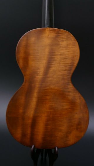 Very Fine Old GUITAR PARLOR PARLOUR Antique vieille guitare German Art Nouveau 3