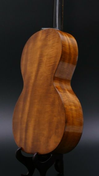Very Fine Old GUITAR PARLOR PARLOUR Antique vieille guitare German Art Nouveau 4
