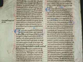 Rare Medieval Manuscript Vellum Bible Leaf,  England,  C.  1260