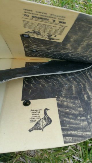 5 Johnson ' s Folding Cardboard/Wax Stake - Out Folding Eating Goose Decoys w/Frames 6