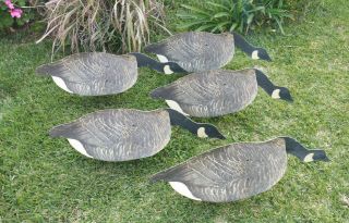 5 Johnson ' s Folding Cardboard/Wax Stake - Out Folding Eating Goose Decoys w/Frames 8