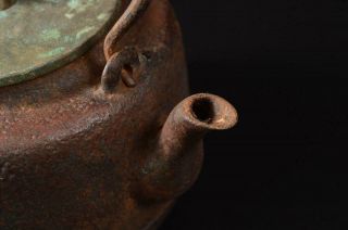 T6660: Japan XF Old Iron Shippo crest sculpture TEA KETTLE Teapot w/copper lid 3