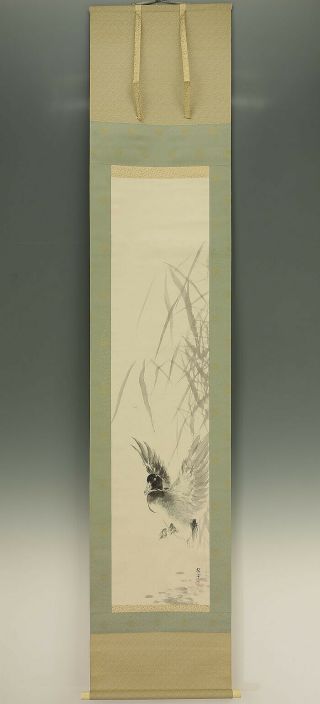 掛軸1967 Japanese Hanging Scroll : Konoshima Okoku " Wild Duck " W/box @k523