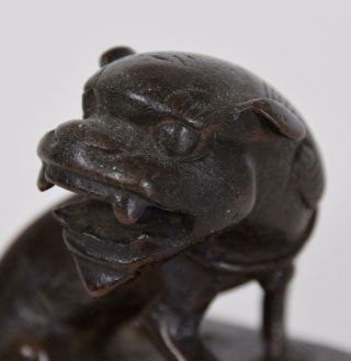 Chinese Ming Bronze Foo Dog or Fu Dog With Paw On Ball made in the Ming Dynasty 4