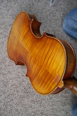 Old Model 1650 Amati 4/4 Neuner Mittenwald Germany Violin Beauty 3