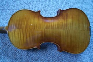 Old Model 1650 Amati 4/4 Neuner Mittenwald Germany Violin Beauty 4