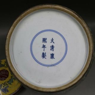 Delicate Chinese Da Qing Famille Rose Porcelain Dragon Phoenix jar 5