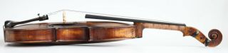 old violin Rogerius 1701 violon alte geige cello italian 4/4 viola 小提琴 ヴァイオリン 12