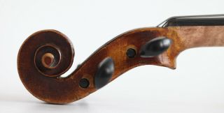 old violin Rogerius 1701 violon alte geige cello italian 4/4 viola 小提琴 ヴァイオリン 9