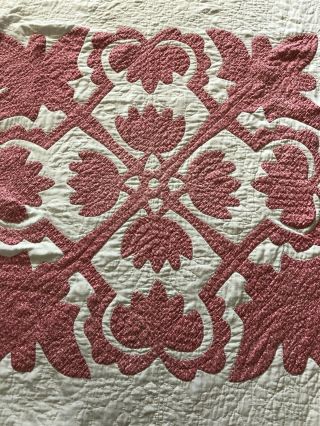 Antique ca 1900 Calico Hawaiian Quilt all hand quilted quilt 82 x 68 10 SPI AAFA 5