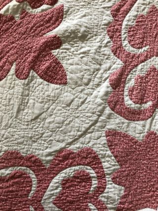 Antique ca 1900 Calico Hawaiian Quilt all hand quilted quilt 82 x 68 10 SPI AAFA 7