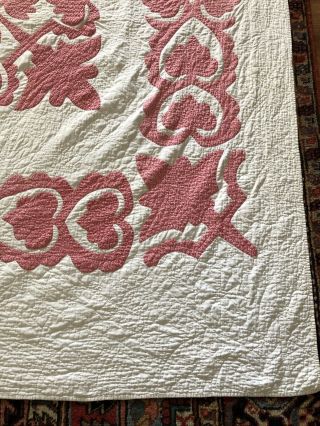 Antique ca 1900 Calico Hawaiian Quilt all hand quilted quilt 82 x 68 10 SPI AAFA 8