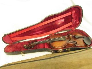 Antique Violin,  Johann Gottfried Hamm,  1800s,  23.  5 "
