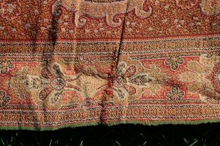 Antique Large ladies Kashmir shawl. 6
