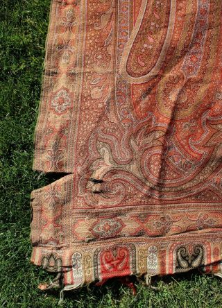 Antique Large ladies Kashmir shawl. 8