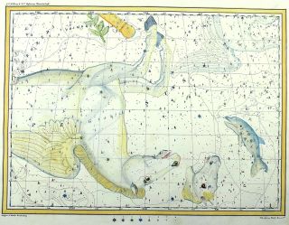 Rarissimum Large Celestial Map - Pegasus - From Atlas By Hoffmann 37 Cm