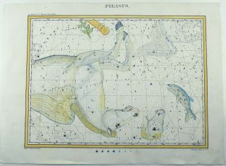 RARISSIMUM Large Celestial Map - PEGASUS - from Atlas by Hoffmann 37 cm 2