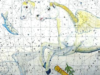 RARISSIMUM Large Celestial Map - PEGASUS - from Atlas by Hoffmann 37 cm 3