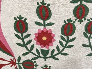 Missouri Rose,  Prairie Flower Applique Quilt 2