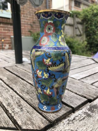 Chinese Closionne Vase 19th Century Qing Butterfly Decoration