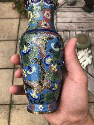 CHINESE CLOSIONNE VASE 19TH CENTURY QING BUTTERFLY DECORATION 4