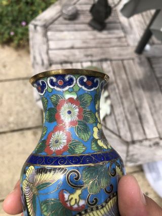 CHINESE CLOSIONNE VASE 19TH CENTURY QING BUTTERFLY DECORATION 9