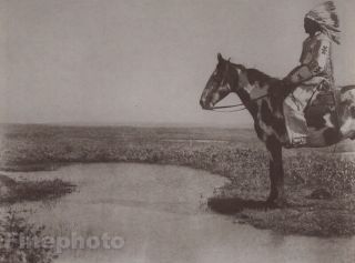 1900/72 Edward Curtis Photogravure Native American Indian Chief Horse Photo Art