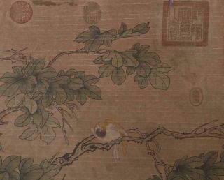 Song Dynasty Zhao Ji Signed Chinese Hand Painted Calligraphy Scroll w/Phoenix 11