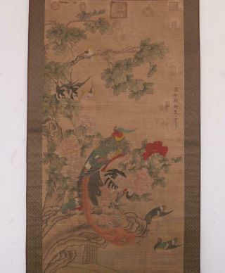 Song Dynasty Zhao Ji Signed Chinese Hand Painted Calligraphy Scroll w/Phoenix 2