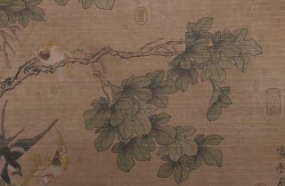 Song Dynasty Zhao Ji Signed Chinese Hand Painted Calligraphy Scroll w/Phoenix 6