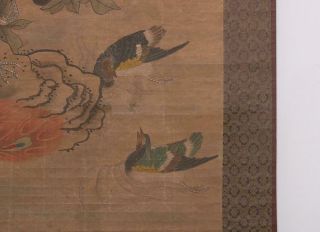 Song Dynasty Zhao Ji Signed Chinese Hand Painted Calligraphy Scroll w/Phoenix 8