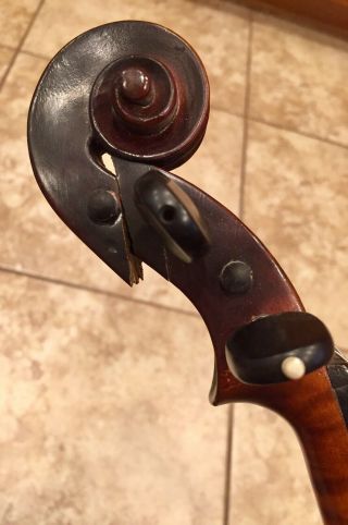 Antique Vintage Viola Violin V - 35 442 Gibson Musical Instrument Case Bows As - Is 3
