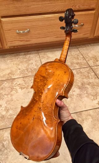 Antique Vintage Viola Violin V - 35 442 Gibson Musical Instrument Case Bows As - Is 4