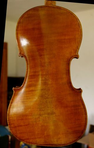 Violin lab.  Carlo Antonio Teftore Milano 1740 Grafted scroll,  playable 3