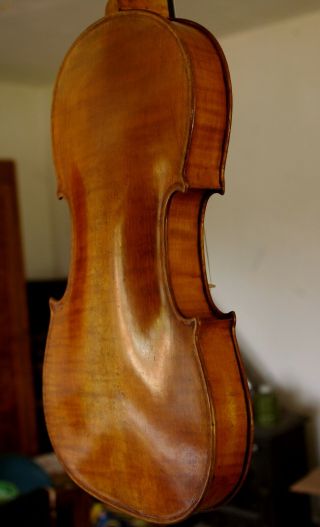 Violin lab.  Carlo Antonio Teftore Milano 1740 Grafted scroll,  playable 4