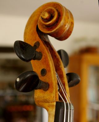 Violin lab.  Carlo Antonio Teftore Milano 1740 Grafted scroll,  playable 6