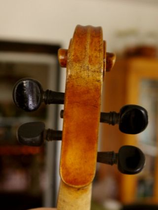 Violin lab.  Carlo Antonio Teftore Milano 1740 Grafted scroll,  playable 7