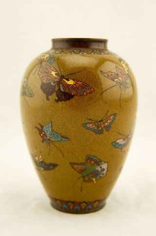 Early Namikawa Meiji Japanese Cloisonne enamel Butterfly yellow - ground vase 3