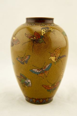 Early Namikawa Meiji Japanese Cloisonne enamel Butterfly yellow - ground vase 4