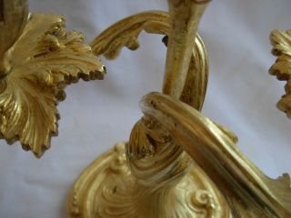 ANTIQUE FRENCH GILT BRONZE CANDLE HOLDERS,  LOUIS XV STYLE,  EARLY 20th 10