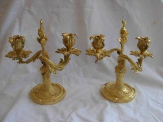 Antique French Gilt Bronze Candle Holders,  Louis Xv Style,  Early 20th