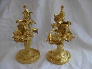 ANTIQUE FRENCH GILT BRONZE CANDLE HOLDERS,  LOUIS XV STYLE,  EARLY 20th 2