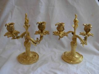 ANTIQUE FRENCH GILT BRONZE CANDLE HOLDERS,  LOUIS XV STYLE,  EARLY 20th 3