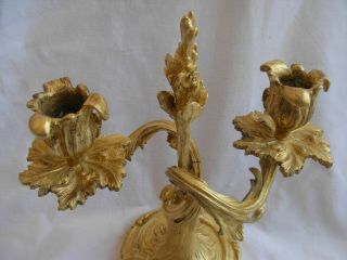 ANTIQUE FRENCH GILT BRONZE CANDLE HOLDERS,  LOUIS XV STYLE,  EARLY 20th 6
