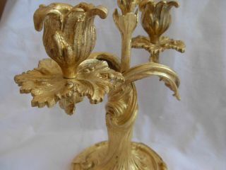 ANTIQUE FRENCH GILT BRONZE CANDLE HOLDERS,  LOUIS XV STYLE,  EARLY 20th 7
