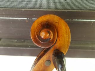 birds eye violin no maker 6